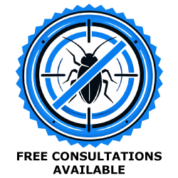 free-consultations-available